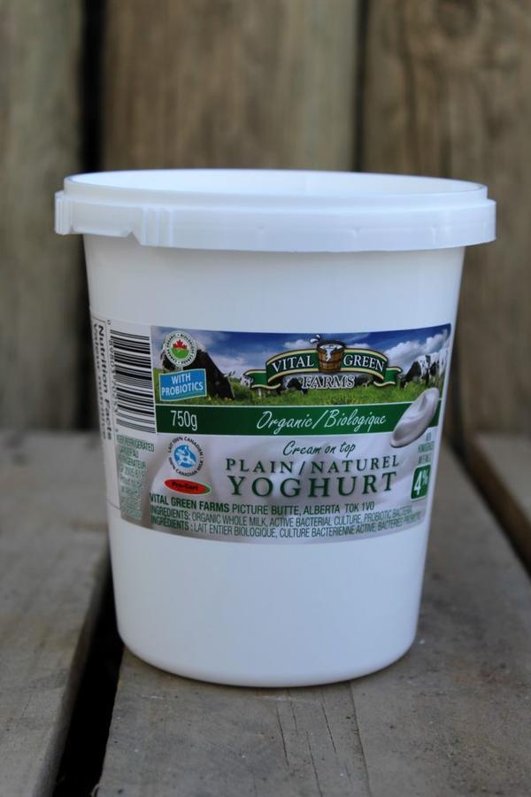 Organic Plain Yogurt