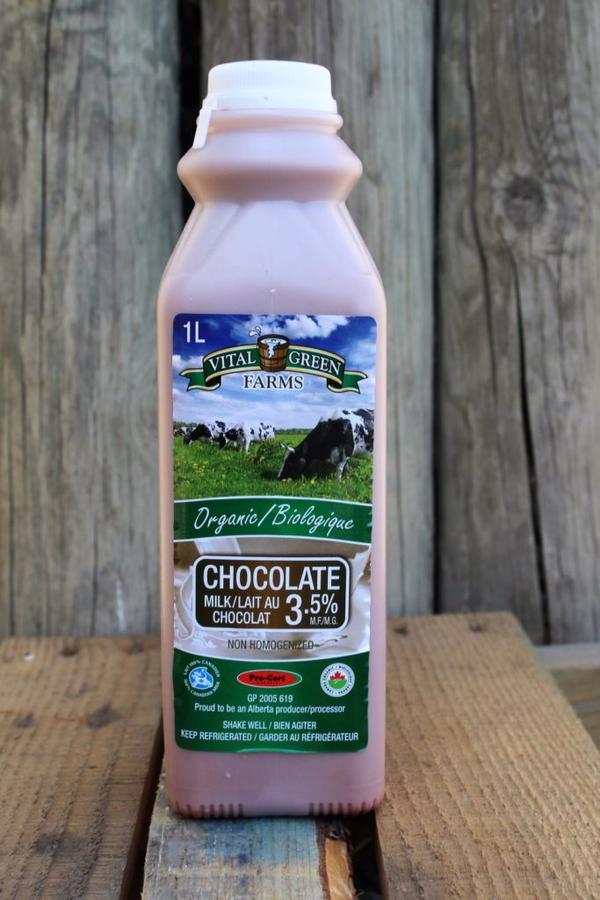 Organic Chocolate Milk