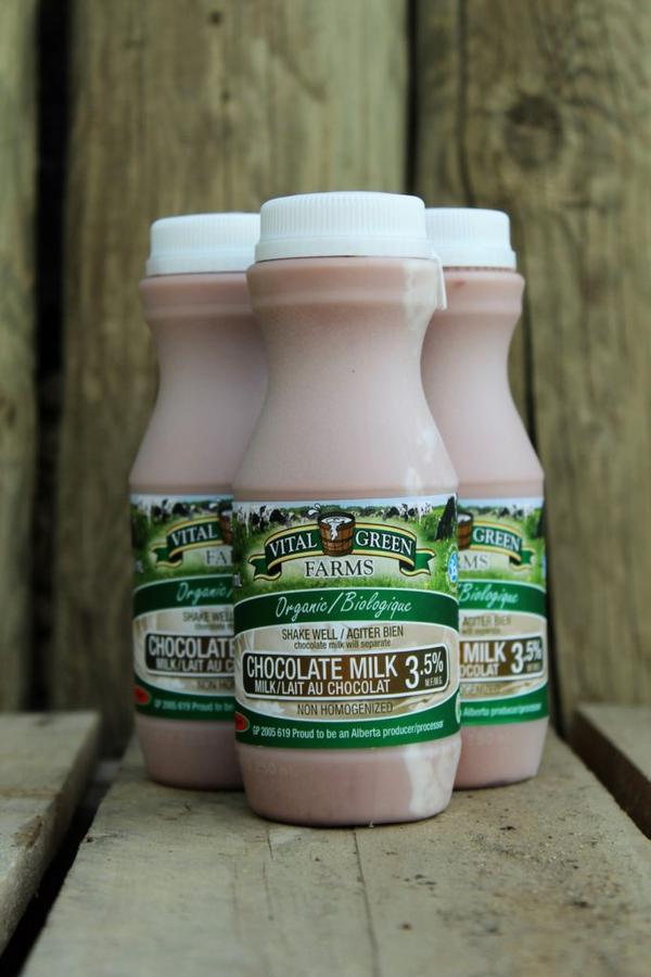 Organic Individual Chocolate Milk
