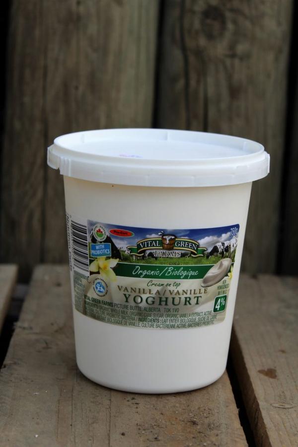 Organic Vanilla Yogurt