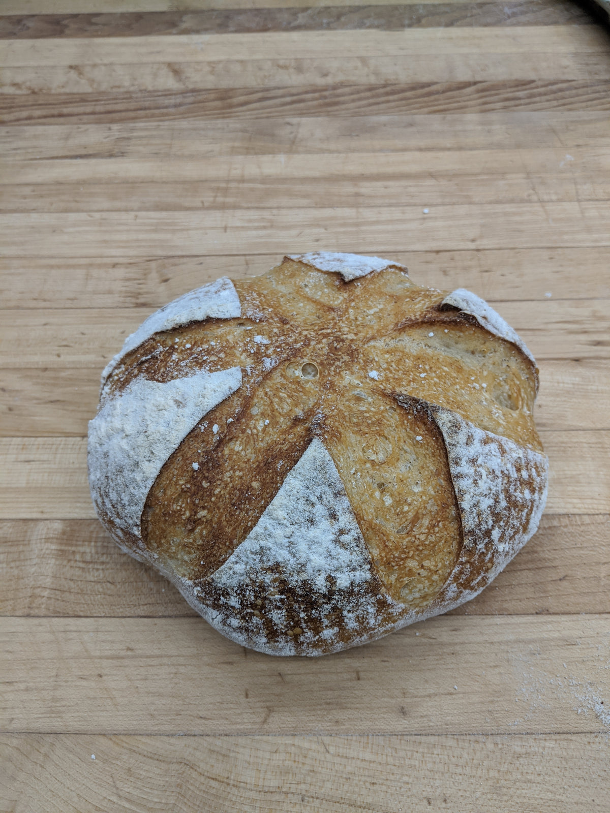 White Sourdough Loaf